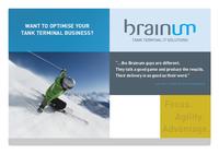 Brainum-QINO-Flyer.pdf.preview